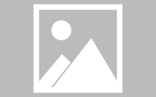 龙岩网页设计翻译网站推荐（网页翻译接口）